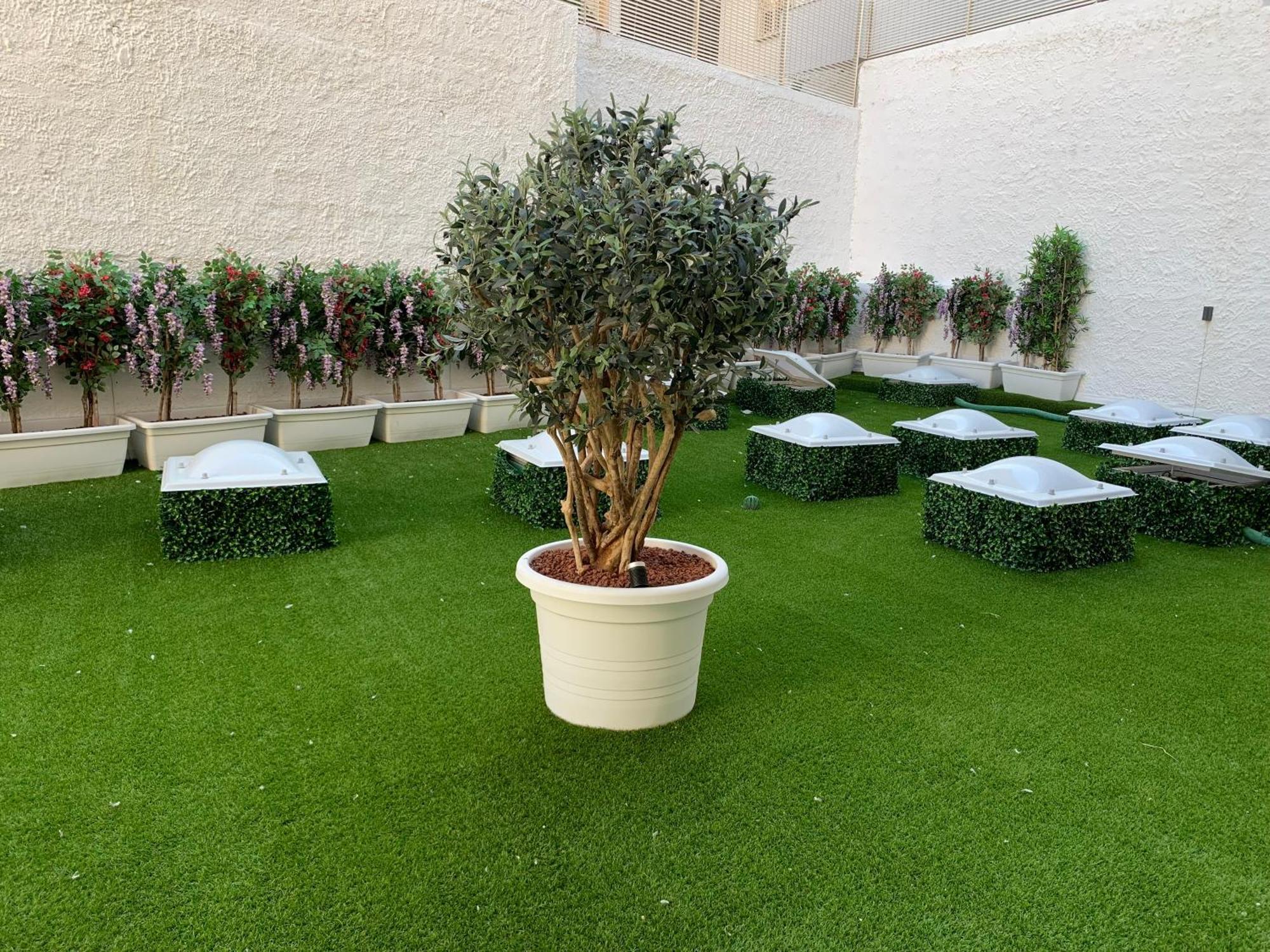 Hotel El Balear Альгеро Экстерьер фото