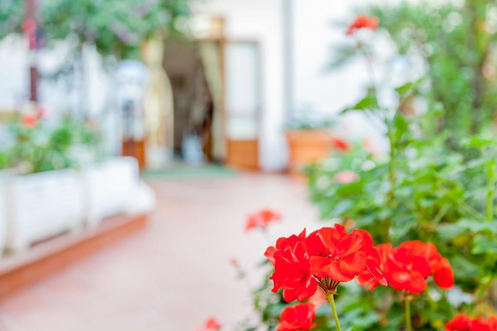 Hotel El Balear Альгеро Экстерьер фото